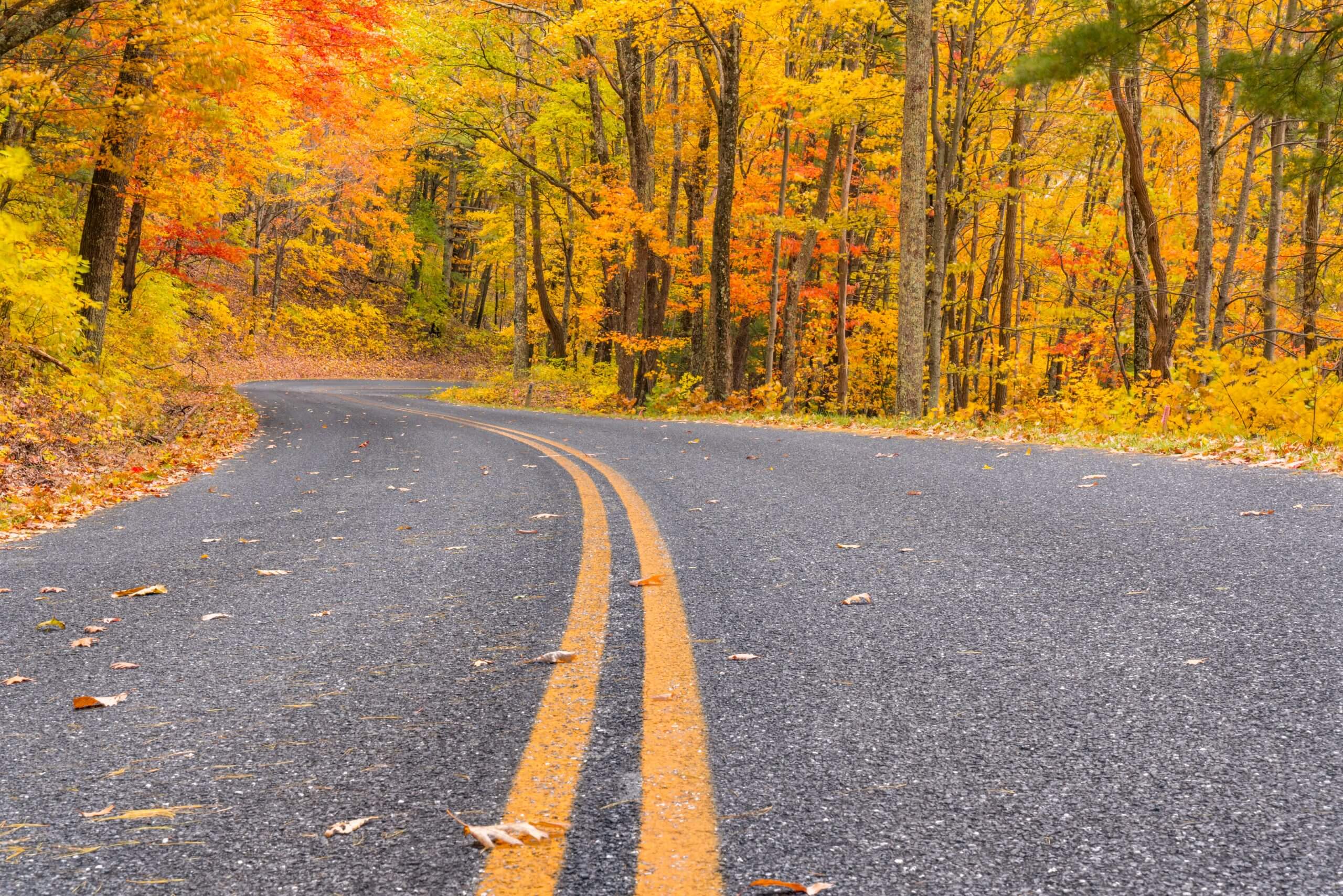 Fall foliage in Shenandoah National Park along the Blue Ridge Parkway