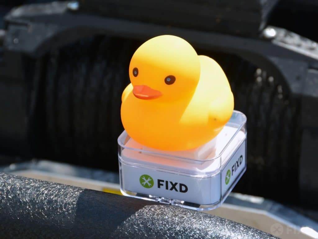 Jeep duck and FIXD