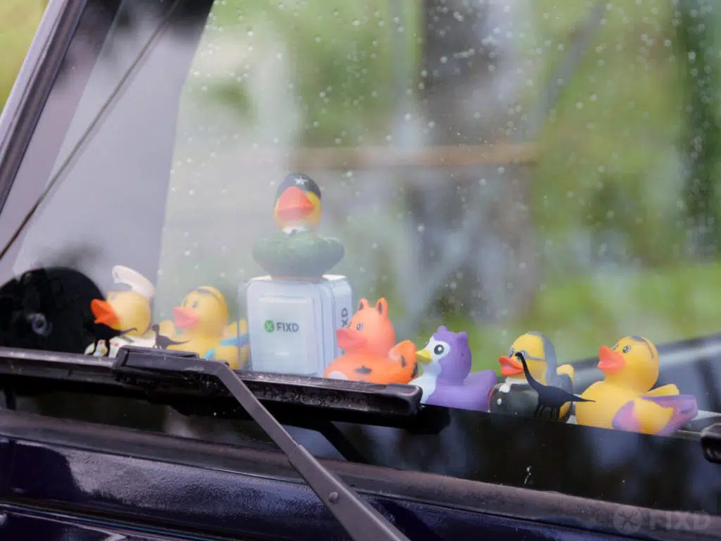 Jeep ducks on the dash