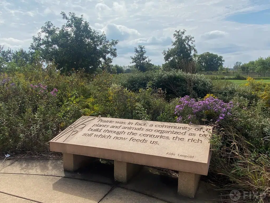 Midewin National Tallgrass Prairie