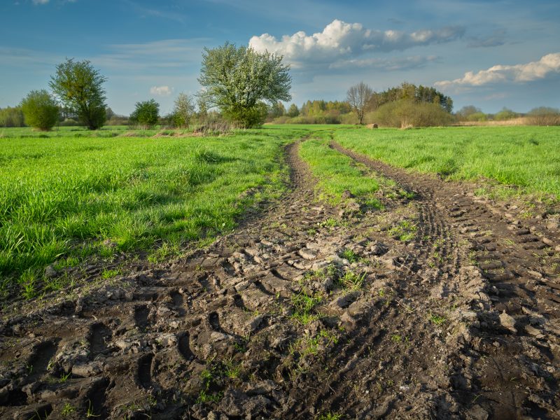 View of the muddy road and green meadows in spring, Eastern Poland
