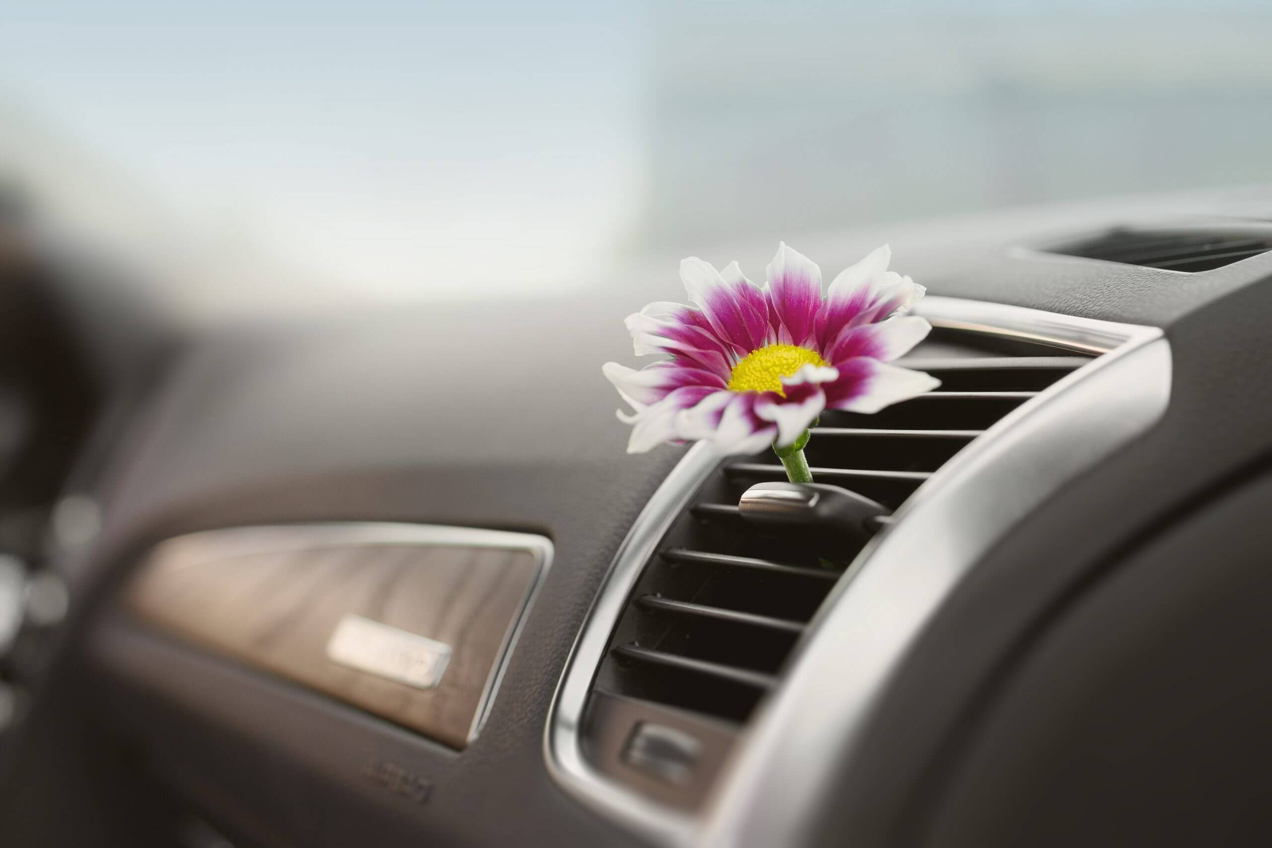 car air conditioner freshness