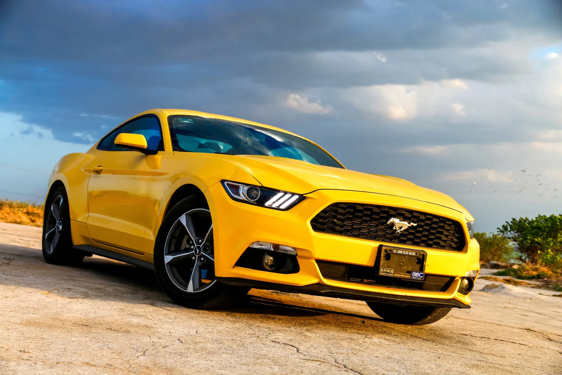 2017 Yellow Ford Mustang at the countryside.