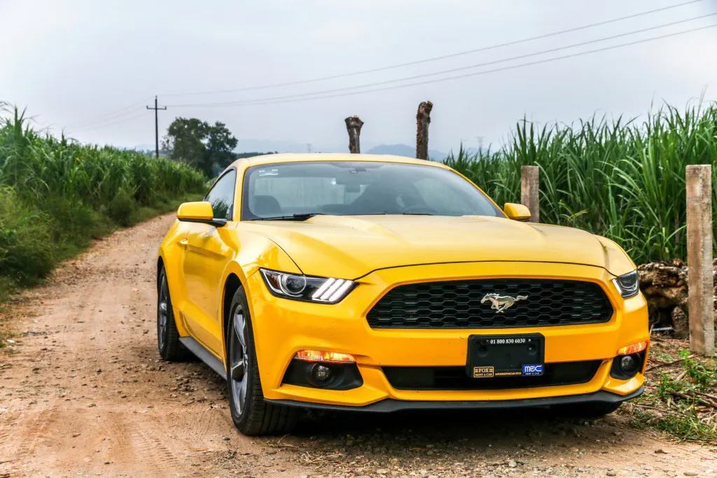 Ford Mustang on a dirt road