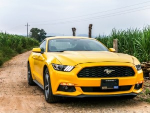Ford Mustang on a dirt road