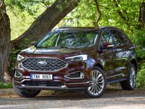 Ford Edge parked near the woods