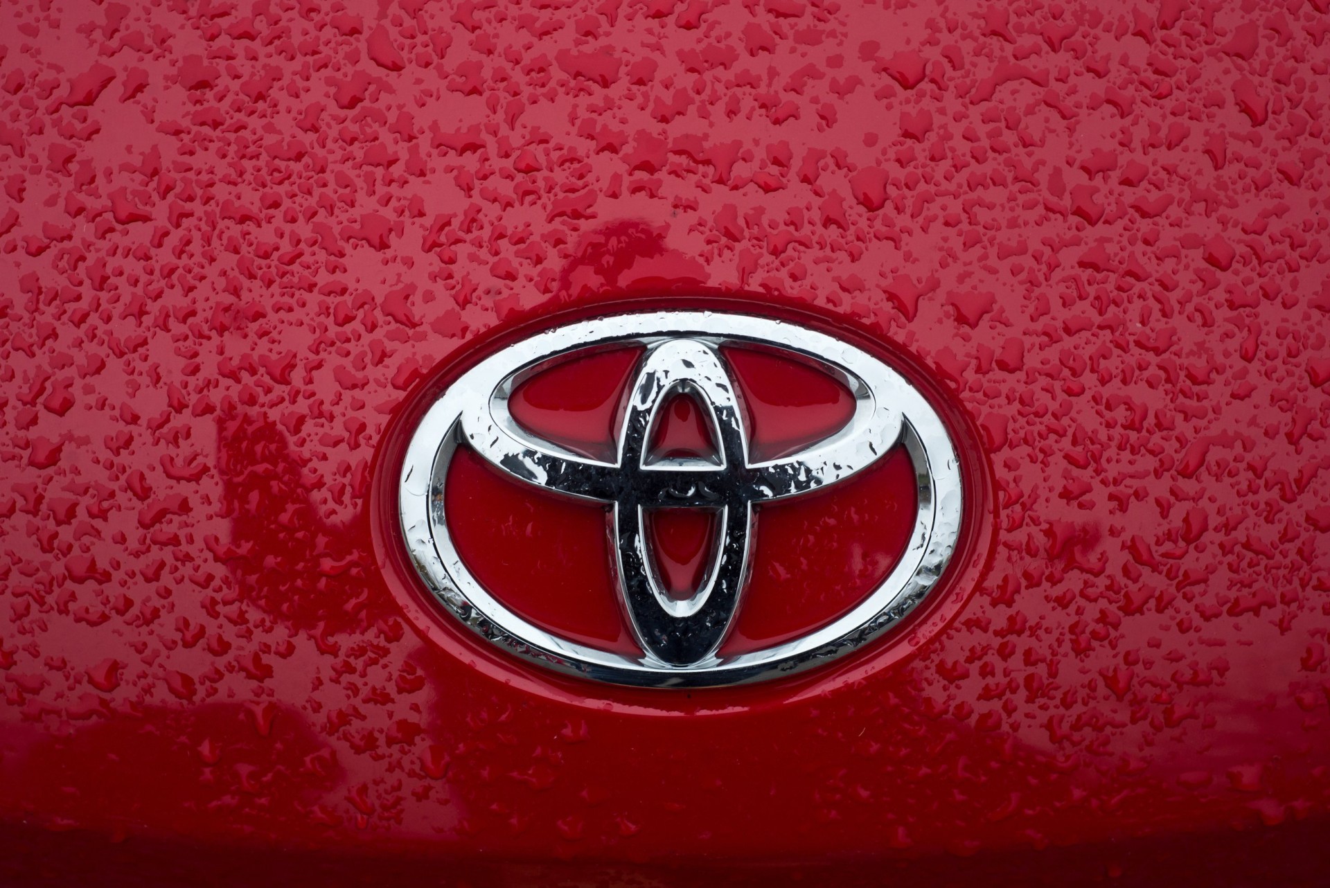 Closeup of rain drops on Toyota logo on red car 