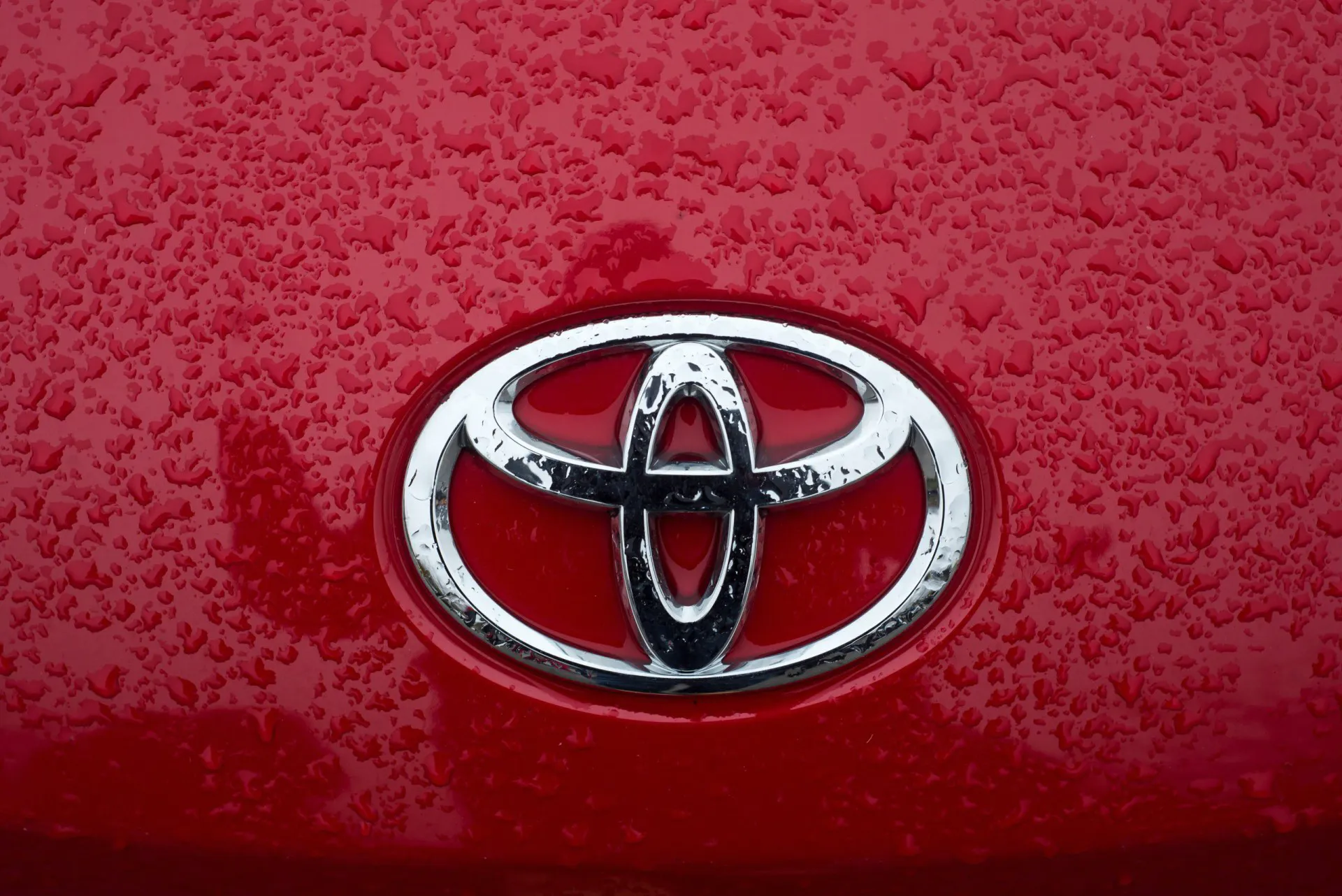 Closeup of rain drops on Toyota logo on red car