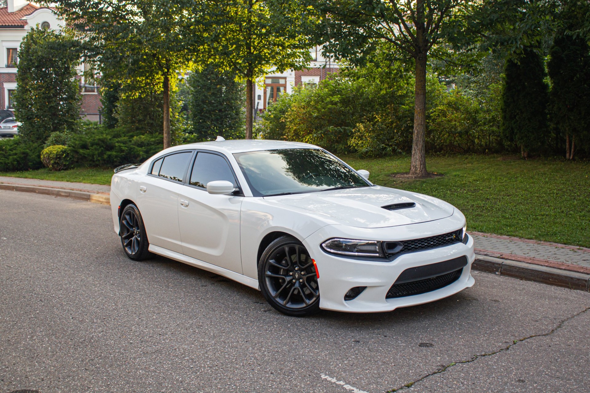 2019 muscle car on the road Dodge Charger 