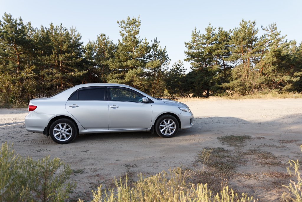 Toyota Corolla grey color, car parking in the forest, travel stop